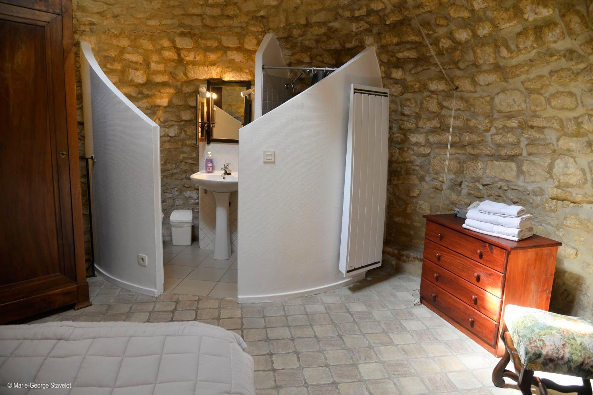 Domaine Borgnat Bed & Breakfast Escolives-Sainte-Camille Exterior photo